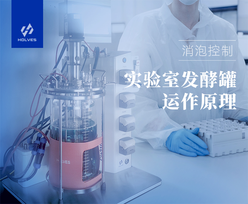 实验室发酵罐运作原理之消泡控制 实验室发酵罐运作原理之消泡控制