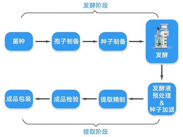 抗生素生产流程示意图 抗生素生产流程示意图